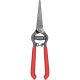 Corona Flower Thinning S Forge