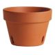 ORCHID CLAY POT 7