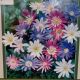 ANEMONE BLANDA MIX