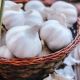 BULB GARLIC CALIFORNIA SOFTNECK BULK
