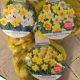 NARCISSUS ASSORTMENTS BAG OF 40