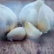 GARLIC ELEPHANT 1PP