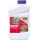 Bonide Qt Dead Bug Brew Conc