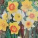NARCISSUS LARGE CUPPED MIXTURE 8PP