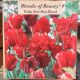 TULIP RED HOT BLEND 12PP