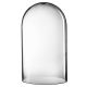 GLASS DOME TALL