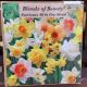 NARCISSUS  ALL IN ONE BLEND 14PP