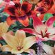 ASIATIC LILY EASY BLEND