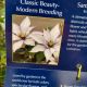 CLEMATIS SAMARITAN JO #1.5