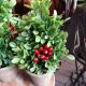 FAUX BOXWOOD TREE 12