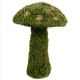 SUPERMOSS MUSHROOM MEDIUM