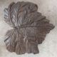 STEPPING STONE LEAF
