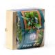 SUPERMOSS MOUNTED FERN KIT 6