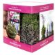 SUPERMOSS ORCHID KOKEDAMA KIT