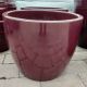 Eloise Egg Pot 15