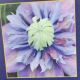 CLEMATIS DIAMANTINA #1.5