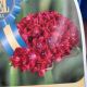 ARMERIA D. HYPNOTIC DREAMS #1