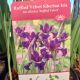 IRIS S. RUFFLED VELVET #1