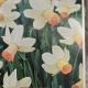 NARCISSUS CARISE 7PP
