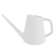 WATERING CAN VANILLA BEAN 1GAL