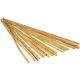 BAMBOO STAKE 4'