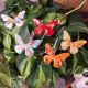 CLEVER GOODS SMALL ENAMEL COPPER BUTTERFLY ASST.