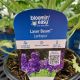DELPHINIUM LASER BEAM #1