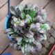 AJUGA BEST BUDDIES ESPRESSO #1