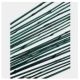BAMBOO STAKE GREEN 2' SINGLE