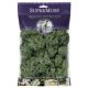 SUPERMOSS PRESERVED REINDEER MOSS 2 OZ. GREEN