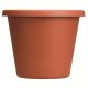 POT 16