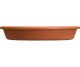 SAUCER 12
