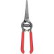 Corona Flower Thinning S Forge