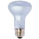 AGROSUN 60 WATT REPL BULB