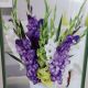 BULB GLADIOLUS GLAD YOU ARE HERE MIX