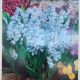 PUSCHKINIA LEBANON SQUILL 20PP