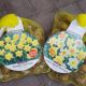 NARCISSUS ASSORTMENTS BAG OF 40