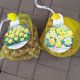 NARCISSUS ASSORTMENTS BAG OF 40