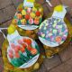 BULB TULIP BAG of 40