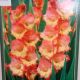 BULB GLADIOLUS PRINCESS MARGARET ROSE