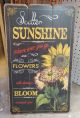 SCATTER SUNSHINE WALL DECOR