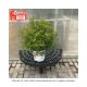 ST JOHNSWORT SUNNY BLVD #1