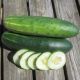 CUCUMBER 4