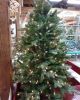 4.5' JACKSON FIR PRELIT TREE