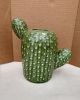 CACTUS PLANTER SHORT