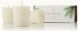 THYMES FRASIER FIR CANDLE VOTIVE SET