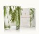 THYMES FRASIER FIR CANDLE VOTIVE