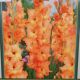 BULB GLADIOLUS OLYMPIC FLAME