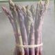 ASPARAGUS SWEET PURPLE BARE ROOT