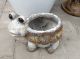 TURTLE PLANTER 8.25